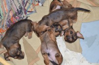 /album/fotogalerie-uvod/dsc-0441-jpg/