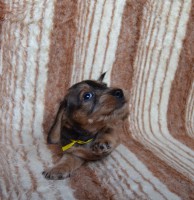 /album/fotogalerie-uvod/a1-jpg/