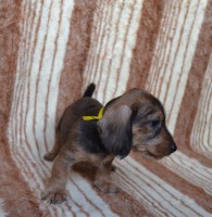 /album/fotogalerie-uvod/dsc-0501-jpg/