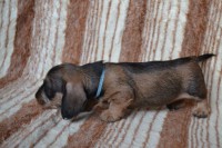 /album/fotogalerie-uvod/dsc-0551-jpg/